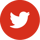 25HZNS-SocialIcons-Red_Twitter